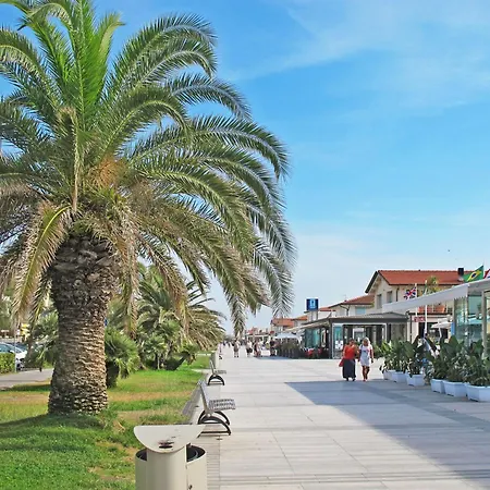 Appartamento Brezza Marina By Interhome Lido di Camaiore
